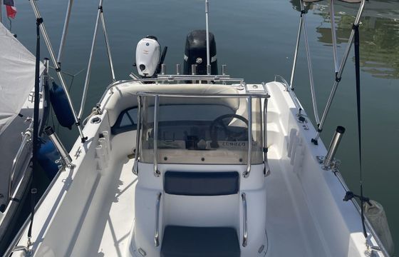 Motorboat Ranieri Voyager 19s 80hp