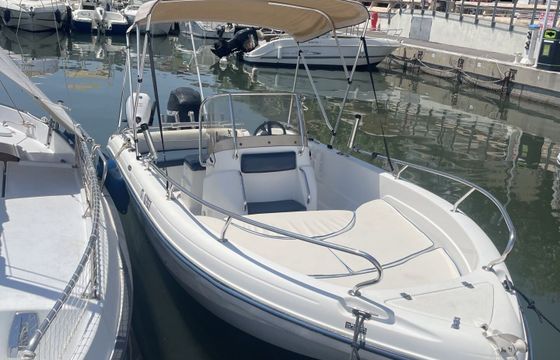 Motorboat Ranieri Voyager 19s 80hp