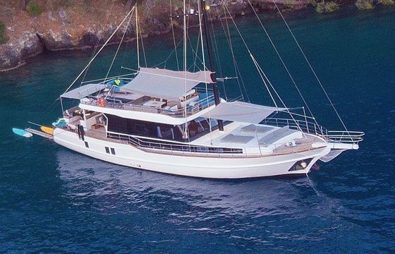 Gulet Custom built gulet with a capacity of 12 people Luxury gulet 26m