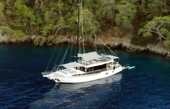Gulet Custom built gulet with a capacity of 12 people Luxury gulet 26m