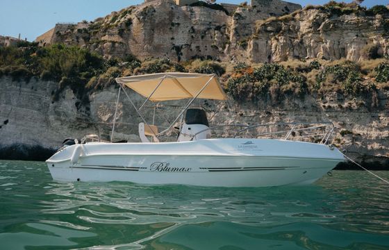 Boat without licence Blumax Blumax 40hp