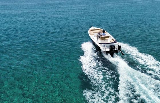 Motorboat PROTEUS 2024 115hp