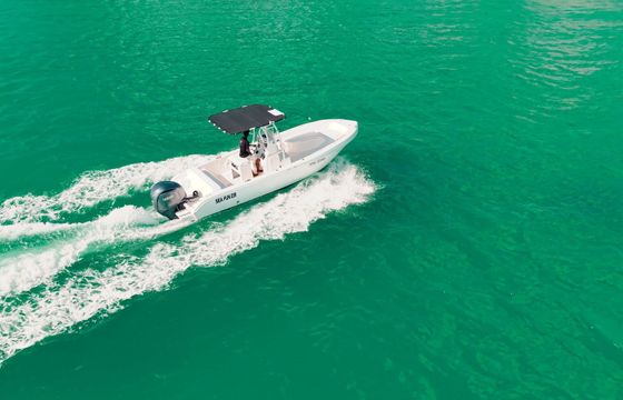 Motorboat Forboat Forboat 23 225hp