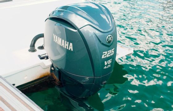 Motorboat Forboat Forboat 23 225hp