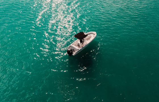 Motorboat Forboat Forboat 23 225hp