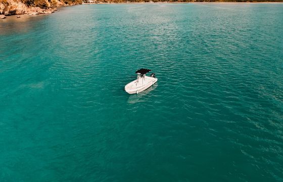 Motorboat Forboat Forboat 23 225hp