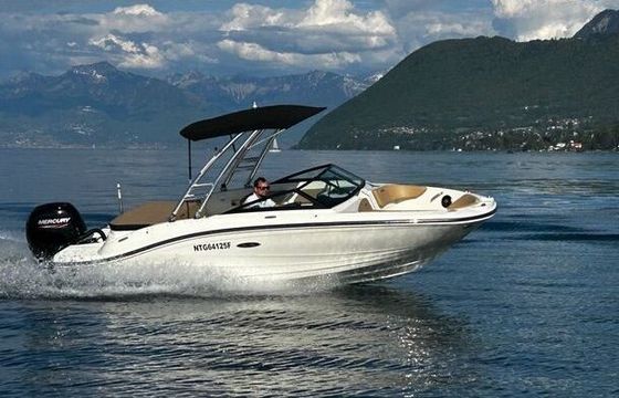 Motorboat SEA RAY SEA RAY 600 150hp