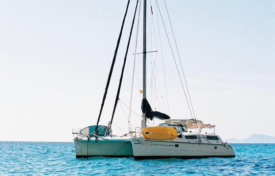 Catamaran Edel No Mad 36 10.89m
