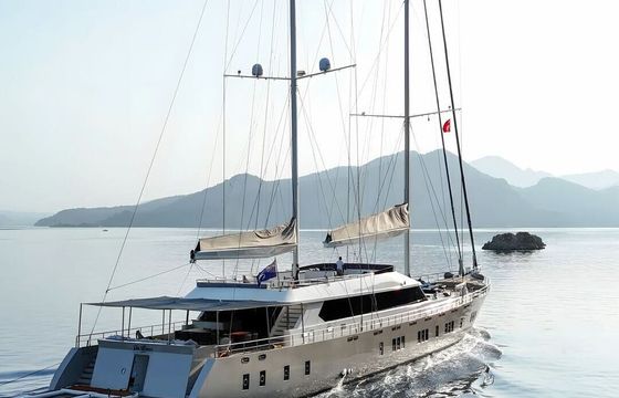 Motor yacht MOTORSAILER DE LOVE 1500hp