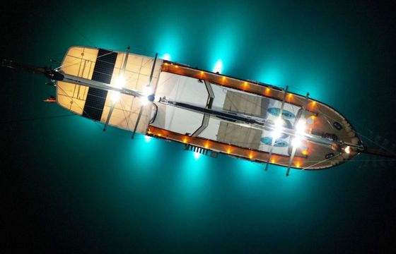 Gulet Custom Built Gulet 27.8m
