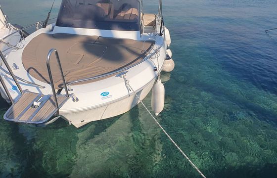 Motorboat Atlantic Marine Sun Cruiser 655 200hp