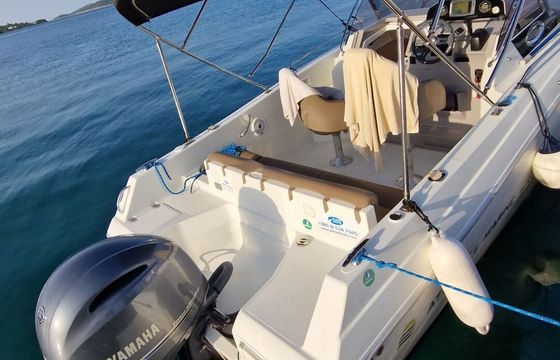 Motorboat Atlantic Marine Sun Cruiser 655 200hp