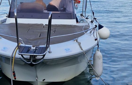 Motorboat Atlantic Marine Sun Cruiser 655 200hp