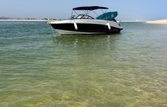 Motorboat Bayliner Vr6 200hp