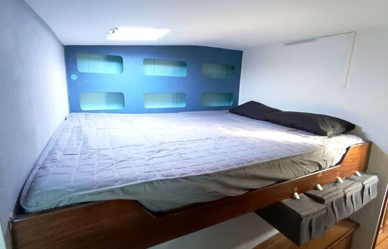 Catamaran Amateur Flica 37 11m