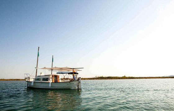 Motorboat Majoni 35 75hp