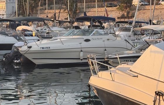 Motorboat Rinker Fiesta 25 240hp