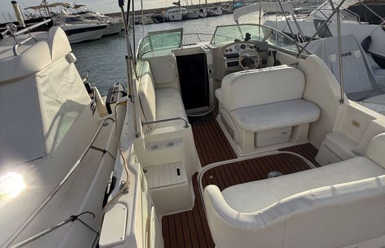 Motorboat Rinker Fiesta 25 240hp