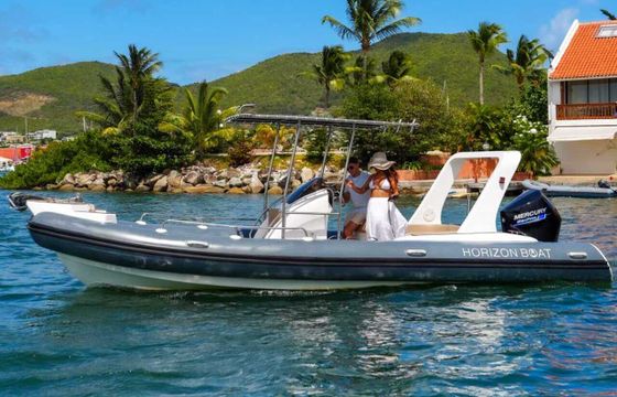 RIB RIB 760 250hp