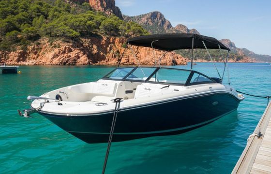 Motorboat Sea Ray 190 Sport 150hp