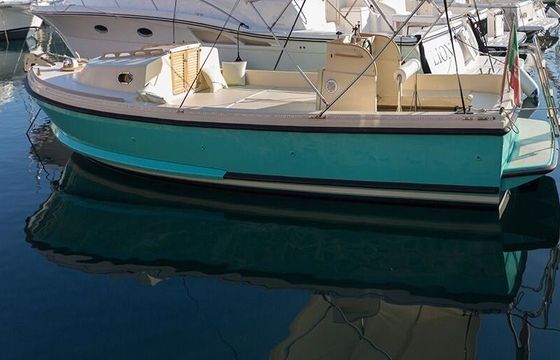 Motorboat NELSON 24 Margherita 110hp