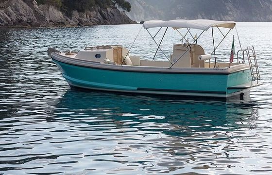 Motorboat NELSON 24 Margherita 110hp