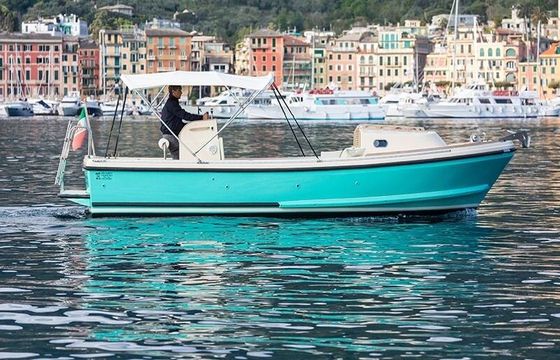 Motorboat NELSON 24 Margherita 110hp