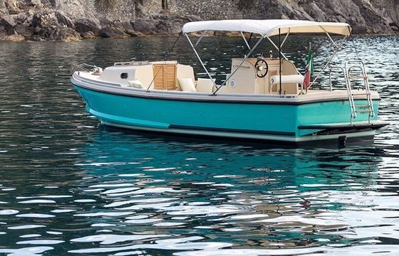 Motorboat NELSON 24 Margherita 110hp
