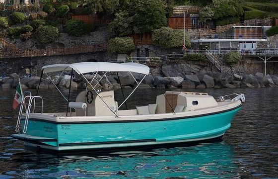 Motorboat NELSON 24 Margherita 110hp