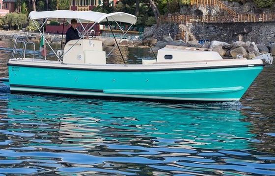 Motorboat NELSON 24 Margherita 110hp