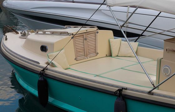 Motorboat NELSON 24 Margherita 110hp