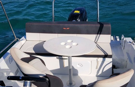 Motorboat Beneteau Beneteau Flyer 5.5 Sundeck 140hp