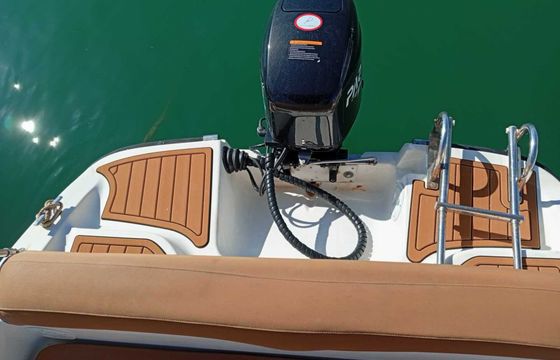 Boat without licence  BARCO PRIVADO PARA AVISTAMIENTO DE DELFINES 15hp