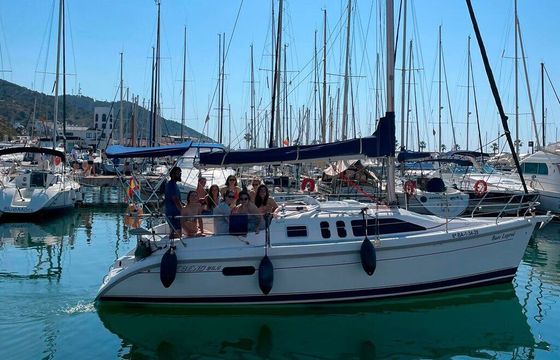 Sailboat Hunter Hunter 29.5 10m