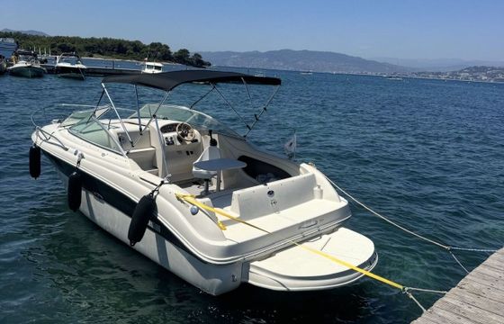 Motorboat Sea Ray 225 260hp