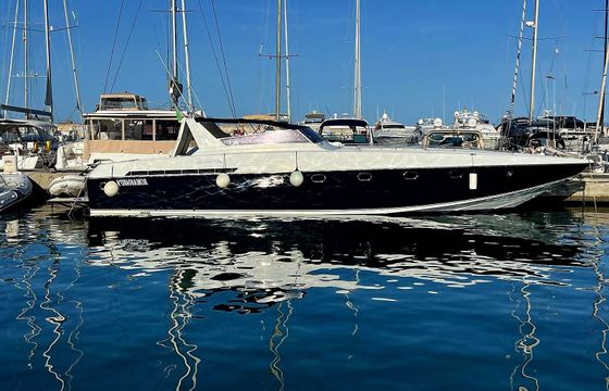 Motorboat Alfamarine Alfamarine 55 2000hp