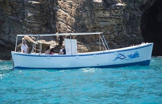 Motorboat CT marine gozzo 150hp