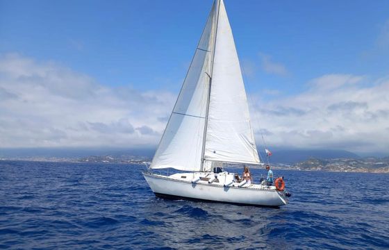 Sailboat C&C C&C 29 10m