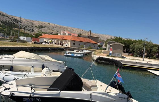 Motorboat Quicksilver Activ 555 Open 115hp