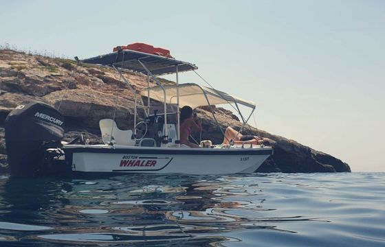 Motorboat Boston Whaler Montauk 80hp