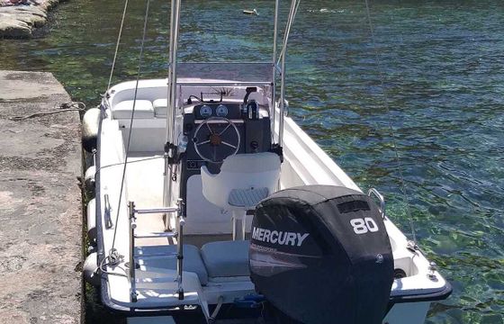 Motorboat Boston Whaler Montauk 80hp