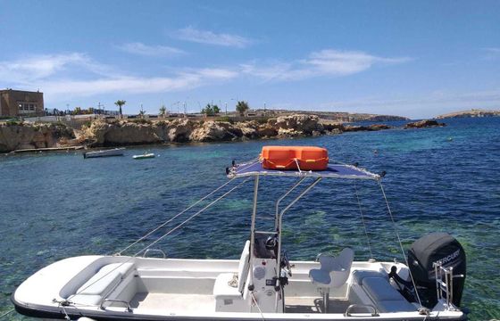 Motorboat Boston Whaler Montauk 80hp