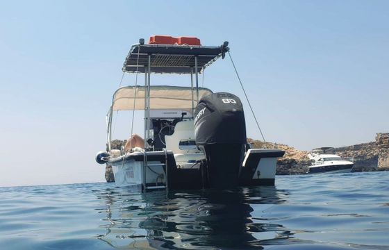 Motorboat Boston Whaler Montauk 80hp
