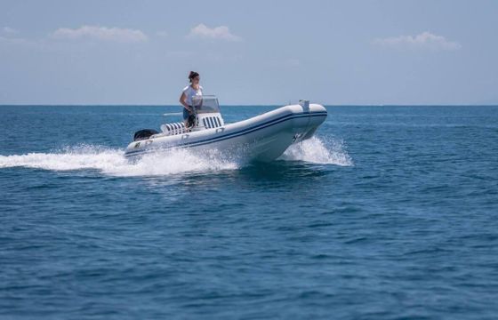 Boat without licence  Zodiac Pro Open 550 40hp