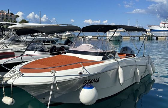 Motorboat Atlantic Marine Sun Cruiser 655 655