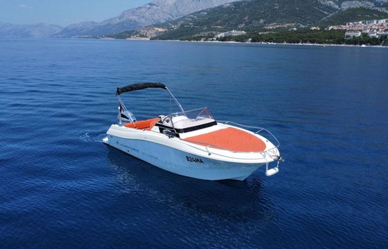 Motorboat Atlantic Marine Sun Cruiser 655 655