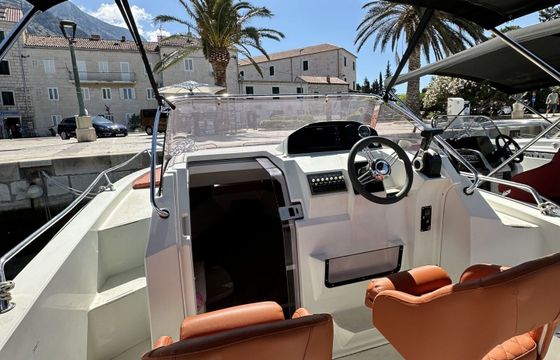 Motorboat Atlantic Marine Sun Cruiser 655 655