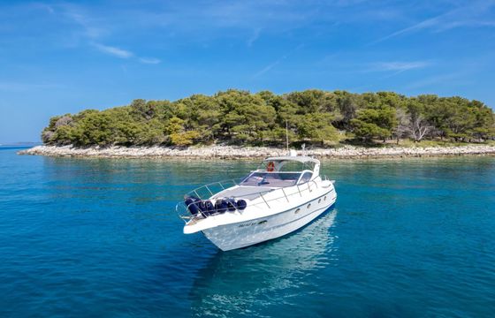Motorboat Gobbi 42,5 570hp