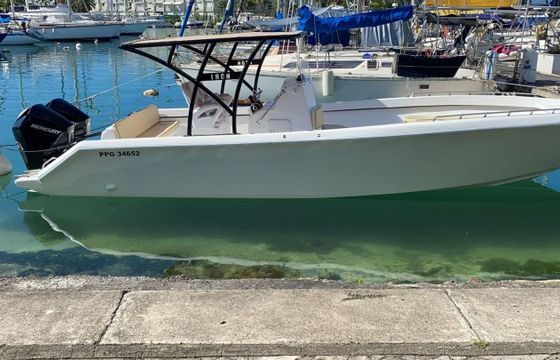 Motorboat Forboat 29 450hp
