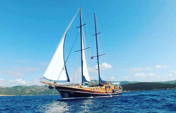 Gulet Gulet Cruise Olbia Gulet Olbia 39m